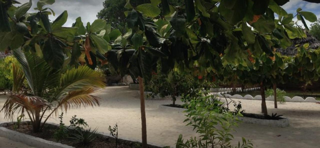 Mfumbwi Lodge Jambiani  Dış mekan fotoğraf