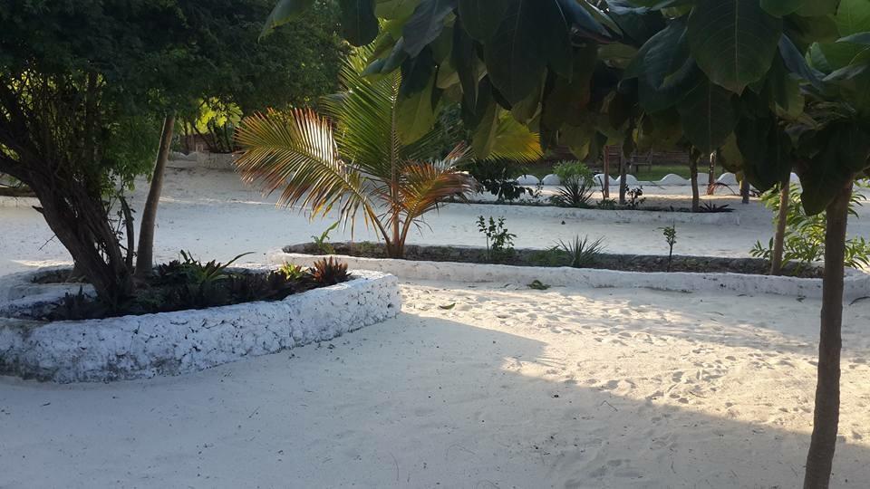 Mfumbwi Lodge Jambiani  Dış mekan fotoğraf