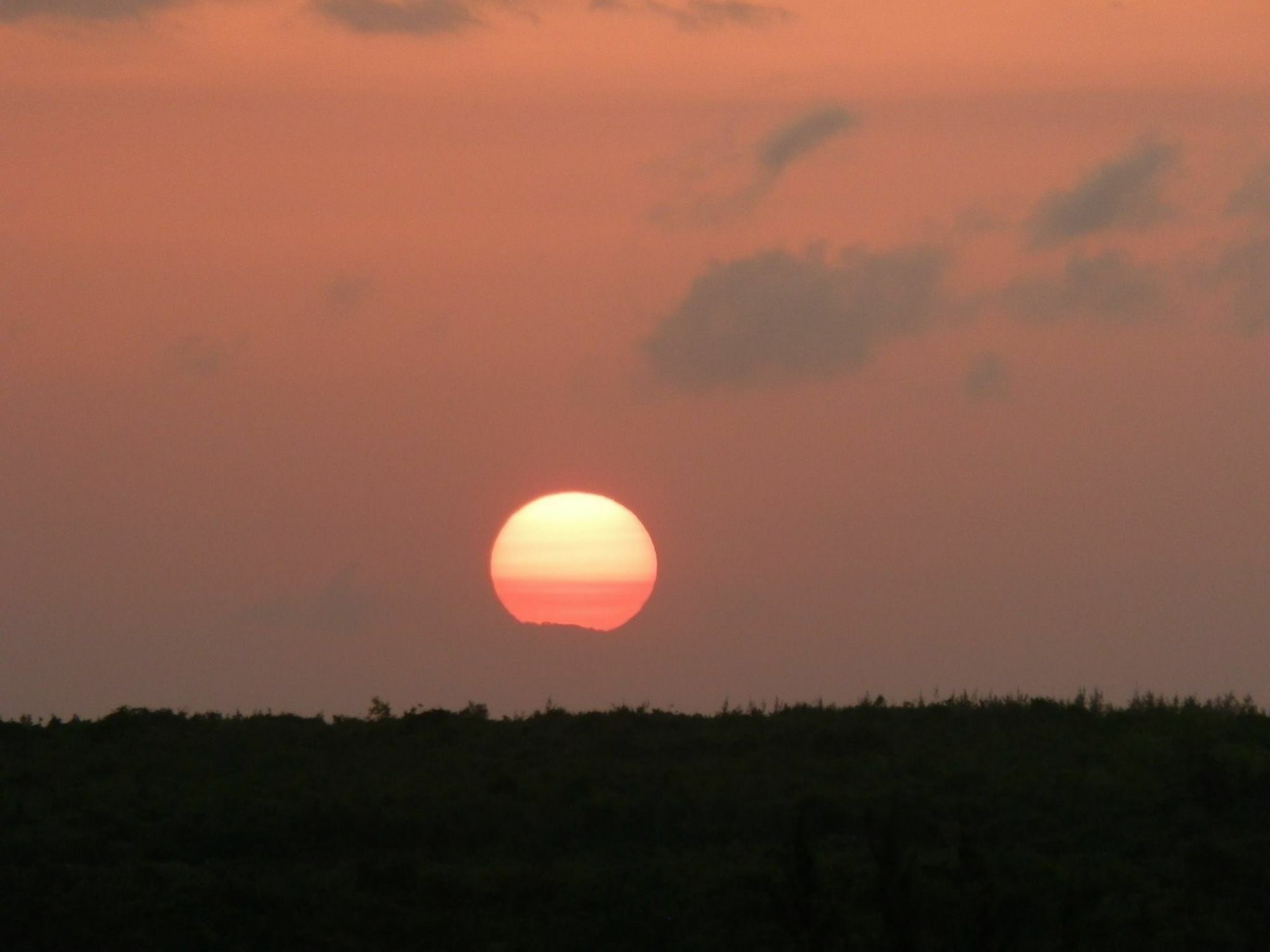 Mfumbwi Lodge Jambiani  Dış mekan fotoğraf